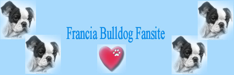 franciabulldogs